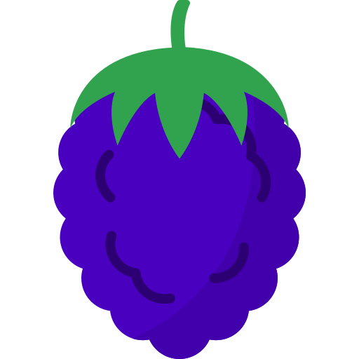 Blackberry Generic Flat icon