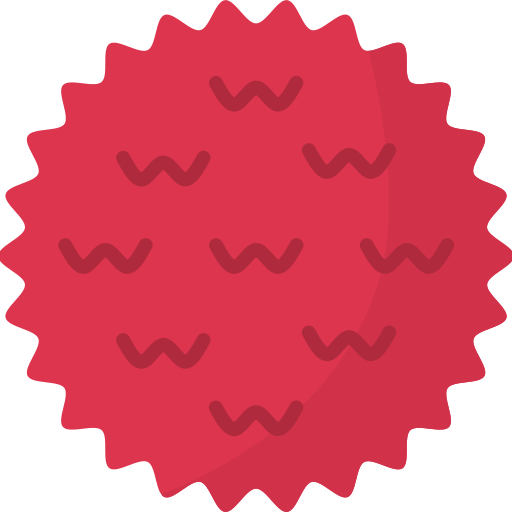 litschi Generic Flat icon