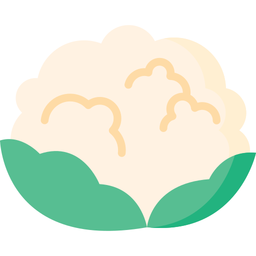 blumenkohl Special Flat icon