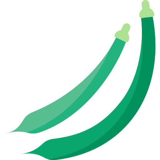 Green beans Special Flat icon