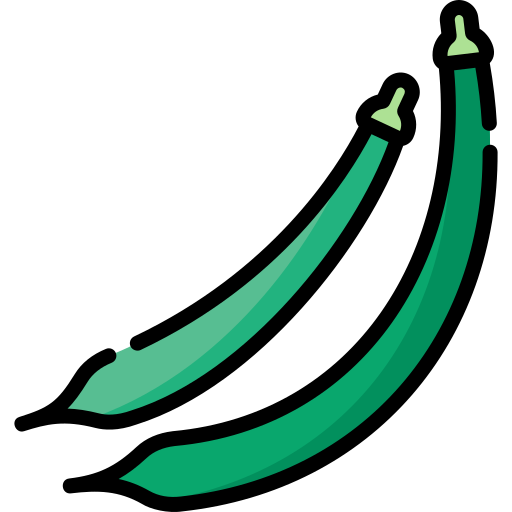 fagioli verdi Special Lineal color icona