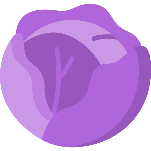 Red cabbage Special Flat icon