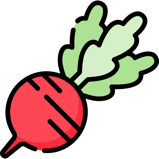 Radish Special Lineal color icon