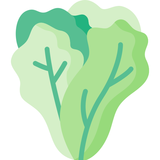 grüner salat Special Flat icon