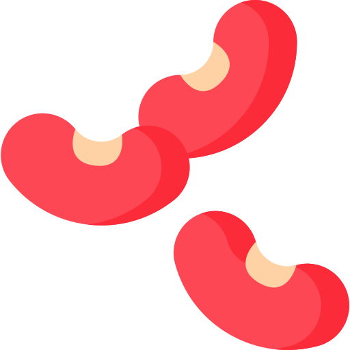 Kidney bean Special Flat icon
