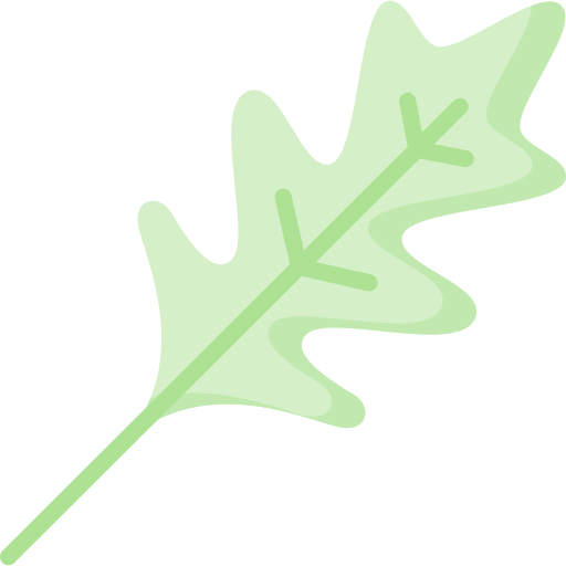 rucola Special Flat icon