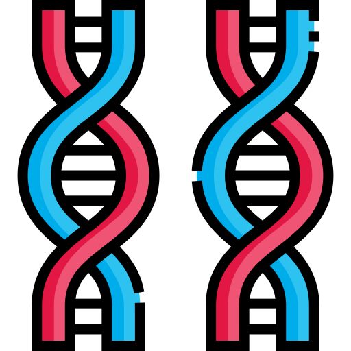유전학 Detailed Straight Lineal color icon