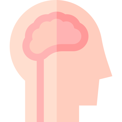 Brain Basic Straight Flat icon