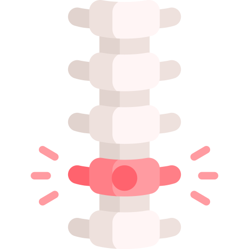 columna vertebral Special Flat icono