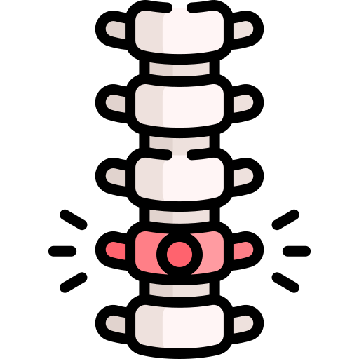 la colonne vertébrale Special Lineal color Icône