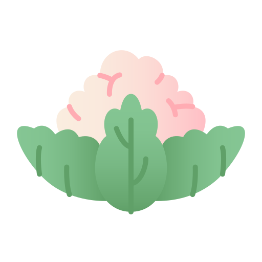 couve-flor Generic Flat Gradient Ícone