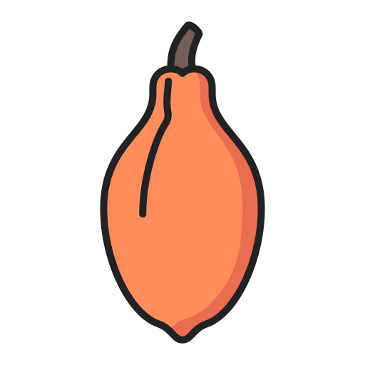 papaja Generic Outline Color ikona