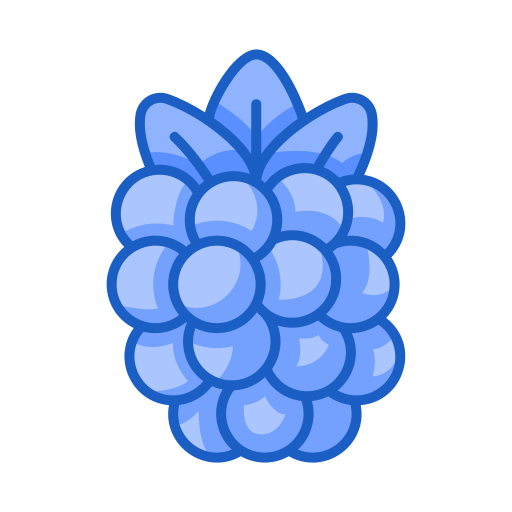 himbeere Generic Blue icon