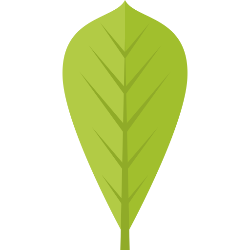 Leaf Generic Flat icon