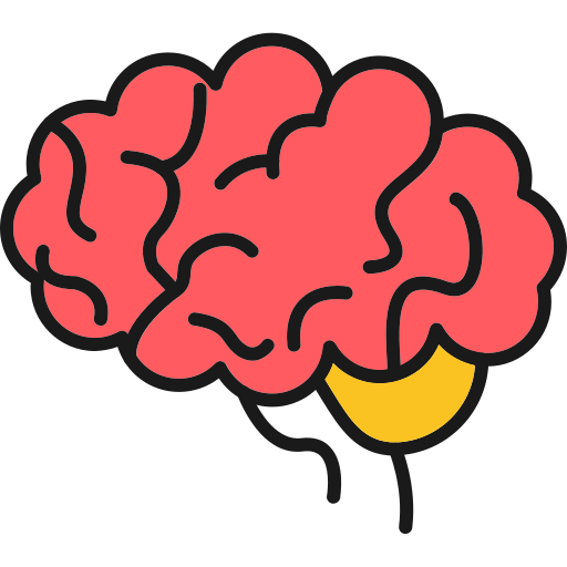 Brain Generic Outline Color icon