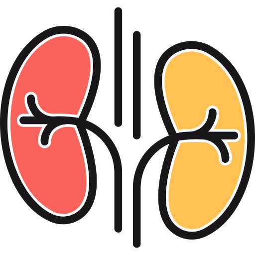 Kidneys Generic Color Omission icon