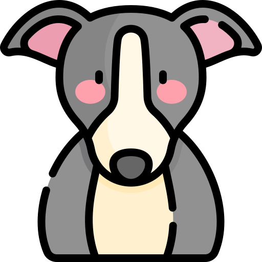 Greyhound Kawaii Lineal color icon