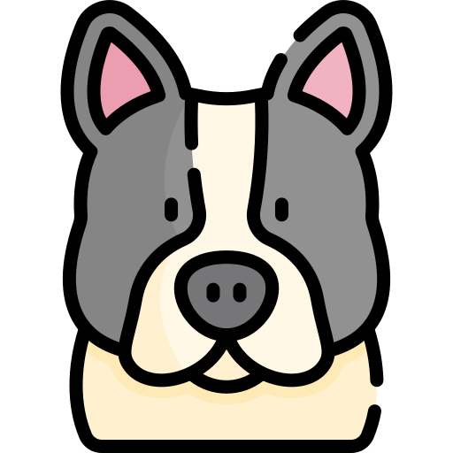französische bulldogge Kawaii Lineal color icon