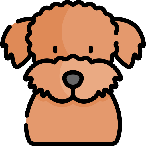 Poodle Kawaii Lineal color icon
