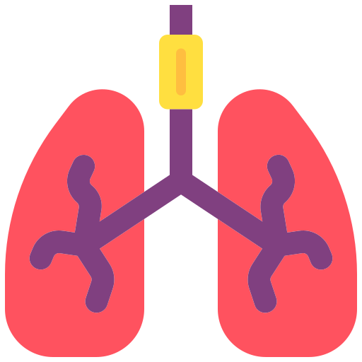 pulmones Good Ware Flat icono