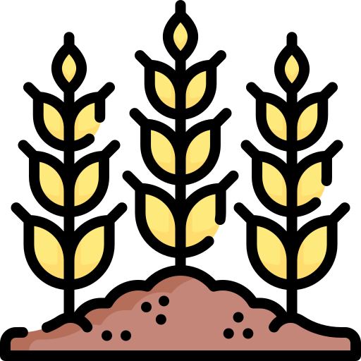 Wheat Special Lineal color icon