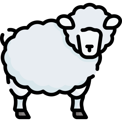 Sheep Special Lineal color icon