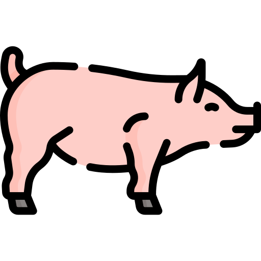 свинья Special Lineal color иконка