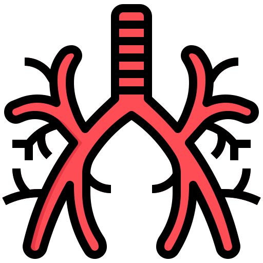 bronco Generic Outline Color icona