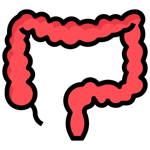 結腸 Generic Outline Color icon