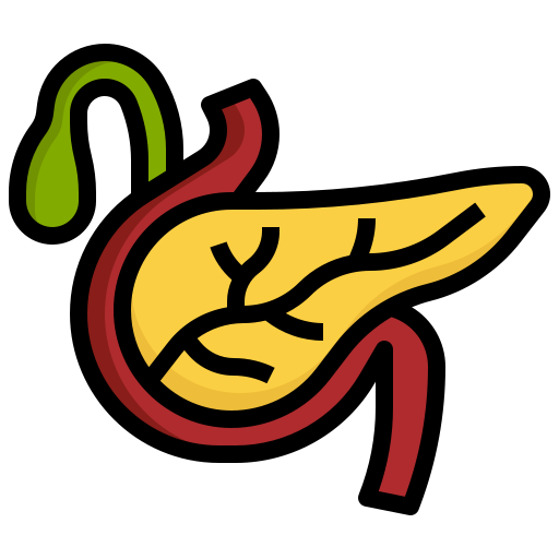 páncreas Generic Outline Color icono