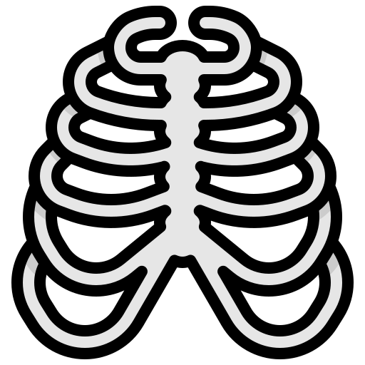 Rib cage Generic Outline Color icon