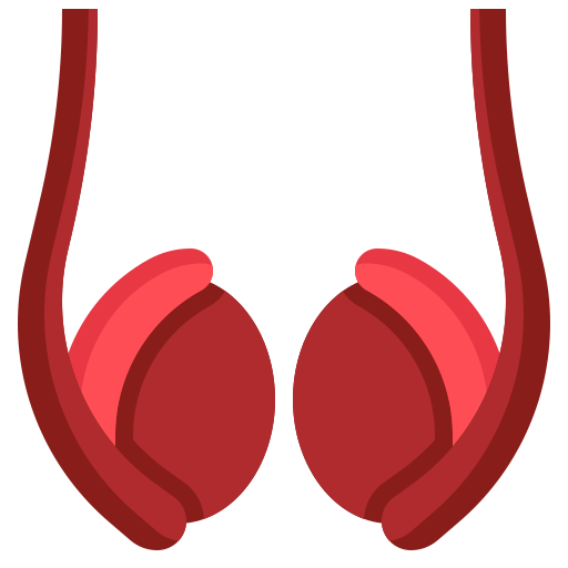 睾丸 Generic Flat icon