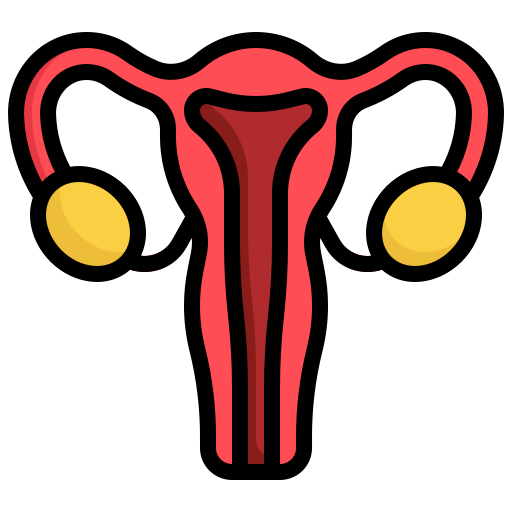 utérus Generic Outline Color Icône