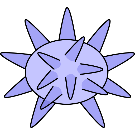 seeigel Generic Thin Outline Color icon