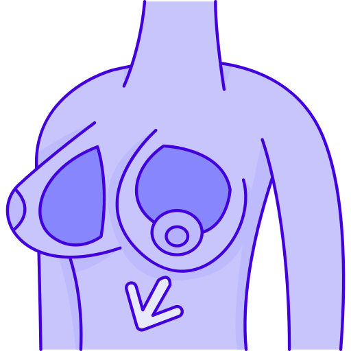 乳房 Generic Thin Outline Color icon