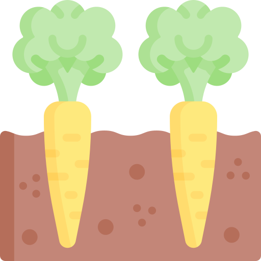 Carrot Special Flat icon