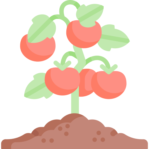 Tomatoes Special Flat icon