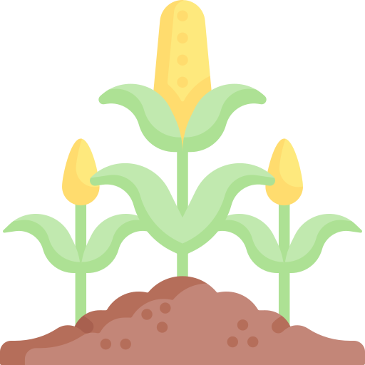 maïs Special Flat icoon