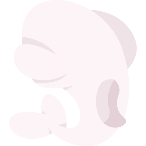 Beluga Generic Flat icon
