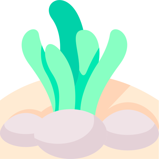 alga marina Generic Flat icona