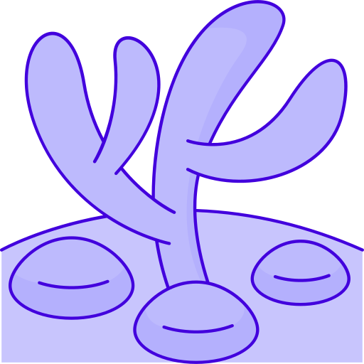 サンゴ礁 Generic Outline Color icon