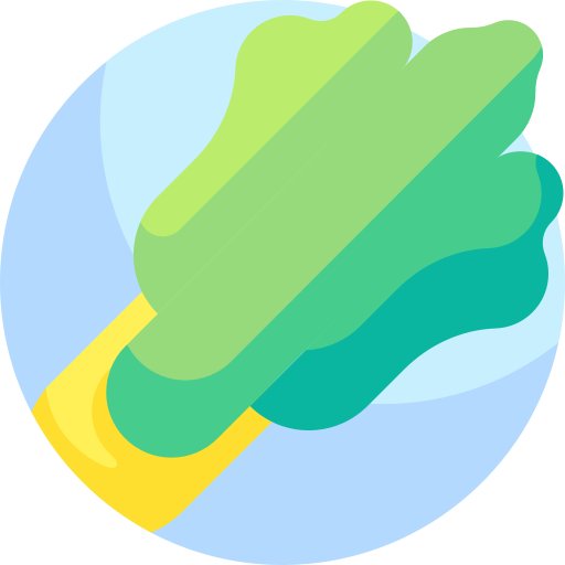 Lettuce Detailed Flat Circular Flat icon