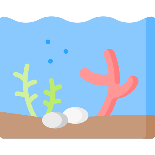 коралловый Special Flat иконка