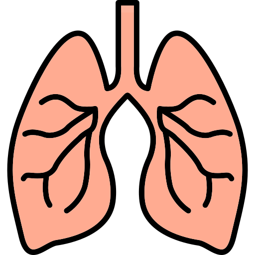 pulmones Generic Outline Color icono