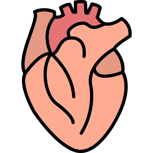cuore Generic Outline Color icona
