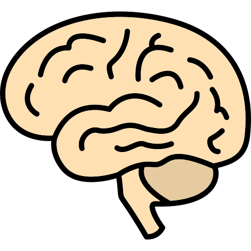 cervello Generic Outline Color icona