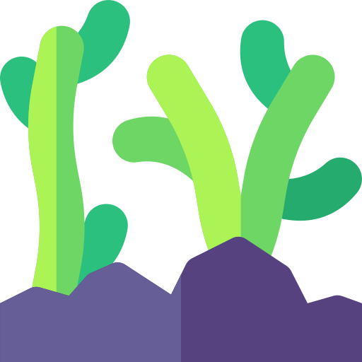 algen Basic Rounded Flat icoon
