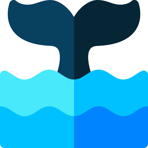 Whale Basic Rounded Flat icon