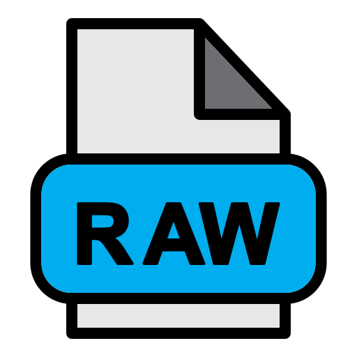 Raw file Generic Outline Color icon