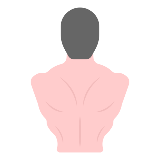 мышцы Generic Flat иконка